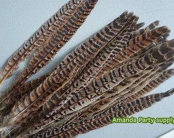 100 pcs natural color ringneck pheasant tail feather 8-13inches for halloween costumes supply