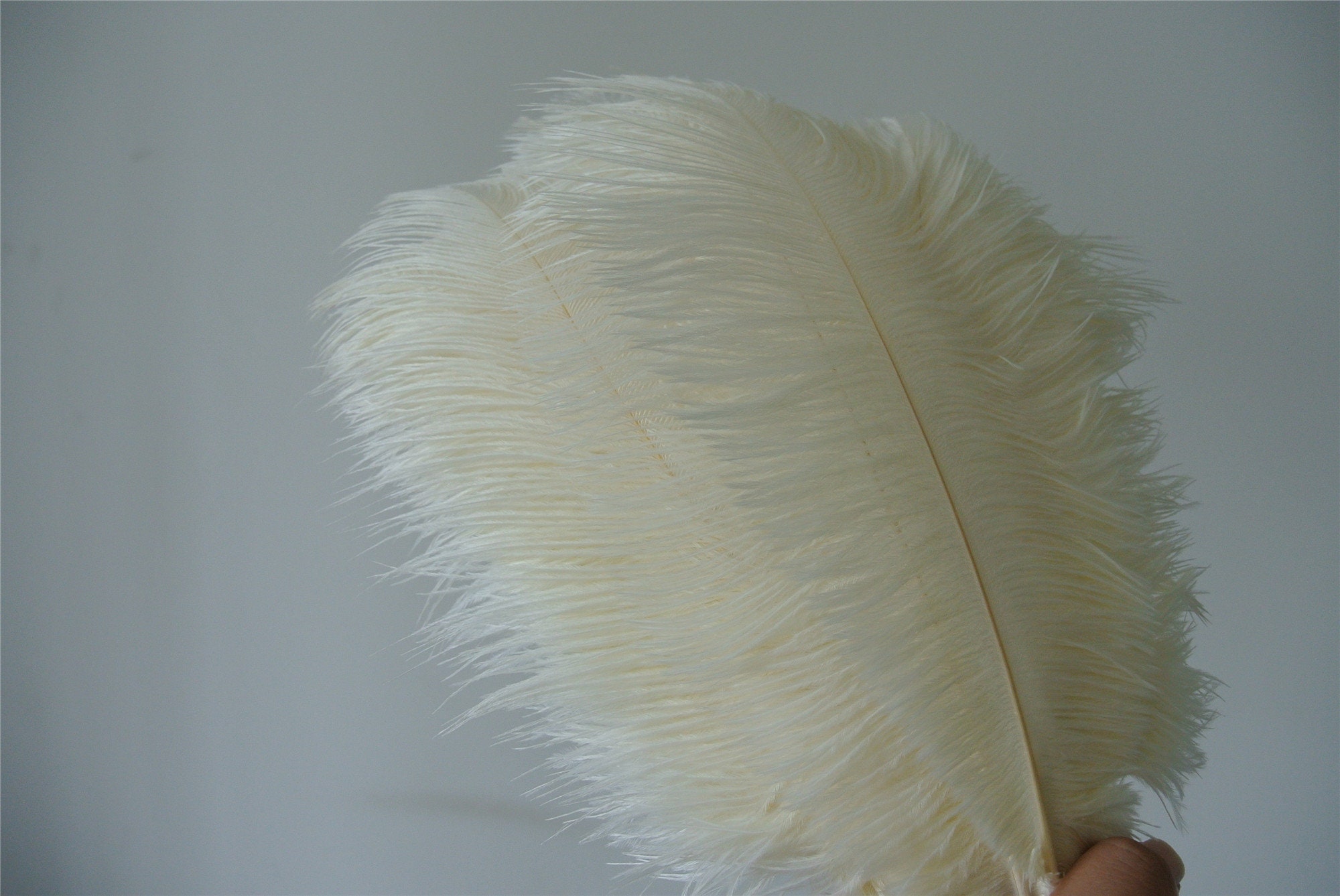 10/20 pcs Large Ostrich Feathers Bulk Making Kit 25-28 Long Feathers for  Party