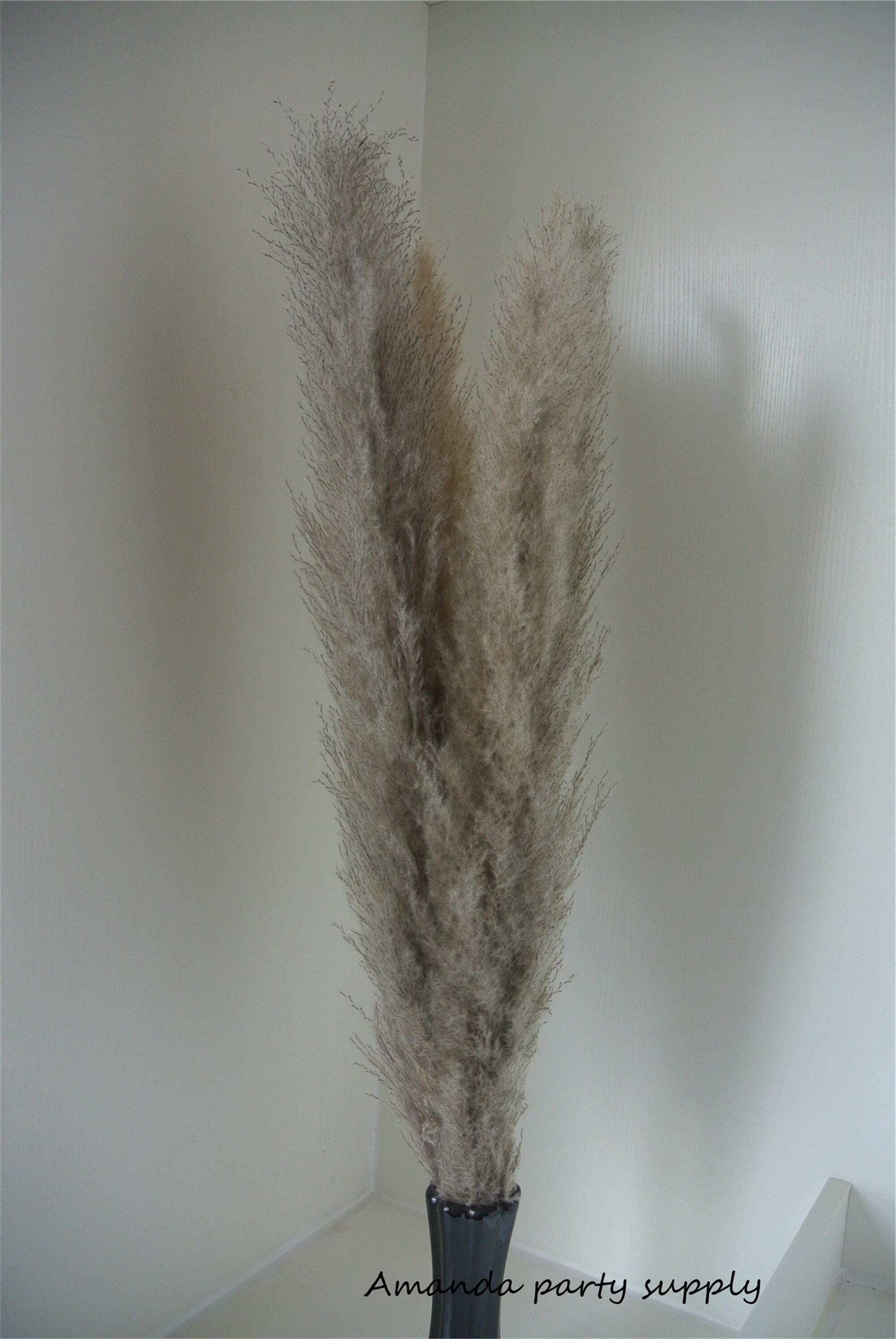 12 Pcs Natural Color Pampas Grass 34inchdried Pampas Etsy