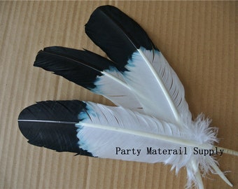 May include: Three black and white feathers with a blue accent. The feathers are arranged in a fan shape and have a white quill. The text "Party Materail Supply" is visible in the bottom right corner of the image.