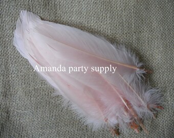 50 pcs light pink goose Feathers goose Round Quill Feathers 5-7inch long color 17