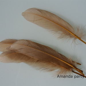 100 pcs brown goose Feathers goose Round Quill Feathers 5-7inch long