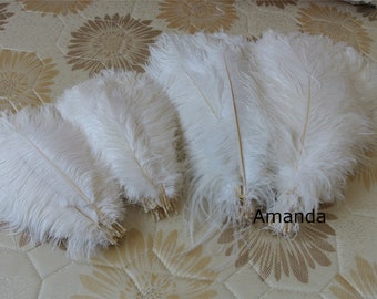 May include: A group of white ostrich feathers, arranged in rows on a patterned surface. The feathers are long and fluffy, with a natural, unbleached appearance.