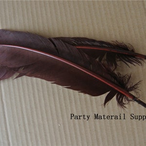 100 pcs dark brown Turkey Feathers Turkey Round Quill Feathers 12inch long