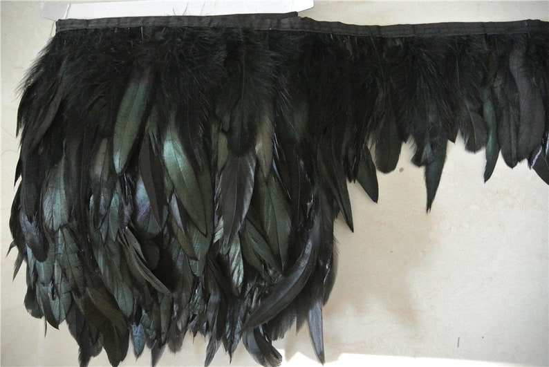 May include: Black feather trim with a black ribbon backing. The feathers are long and flowing, creating a dramatic look.