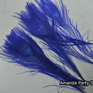 30 pcs 12 colors royal blue peacock feathers plumes 10-12inches for wedding centerpiece supply craft prom supply