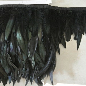 May include: Black feather trim with a black ribbon backing. The feathers are long and flowing, creating a dramatic look.