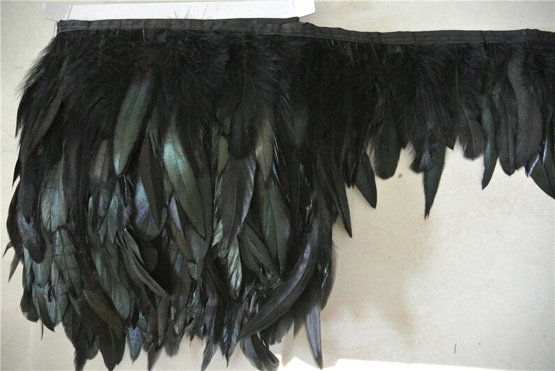 May include: Black feather trim with a black ribbon backing. The feathers are long and flowing, creating a dramatic look.