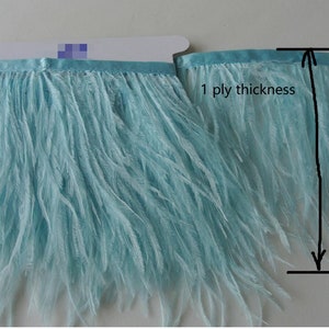 Puede incluir: Un ribete de plumas azul claro con un grosor de 1 capa y un ancho de 4-5 pulgadas.