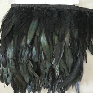May include: Black feather trim with a dark green iridescent sheen. The trim is approximately 1 inch wide and is made of natural feathers.