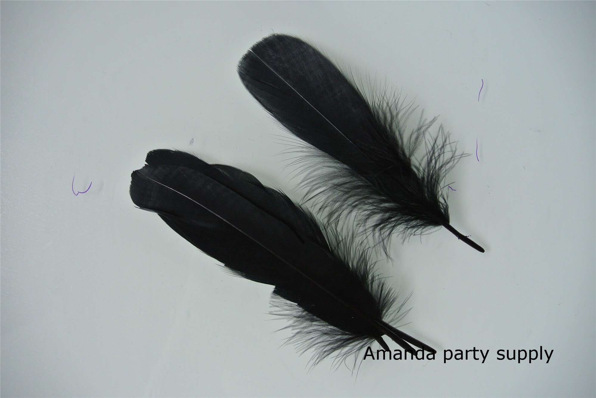 Black Quill Feathers by the Pound