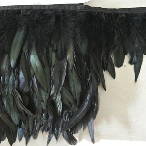 May include: Black feather trim with a black ribbon backing. The feathers are long and flowing, with a slight iridescent sheen.