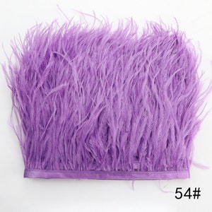 Puede incluir: Borde de plumas de avestruz de color p&uacute;rpura con respaldo de sat&eacute;n. El borde tiene aproximadamente 2,5 cm de ancho y es perfecto para agregar un toque de elegancia a cualquier proyecto. 54#