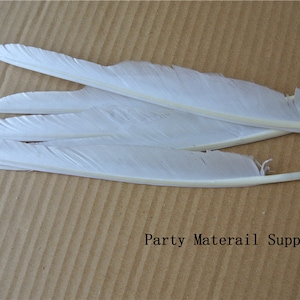 100 pcs bianco Turchia Piume Turchia Quill Piume 12inch lungo per la fornitura di costumi halloween