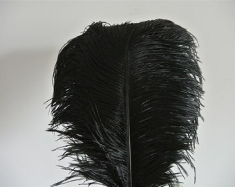 50 pcs black ostrich feather plume 5-24inches for wedding centerpiece supply craft supply home decor table centerpiece