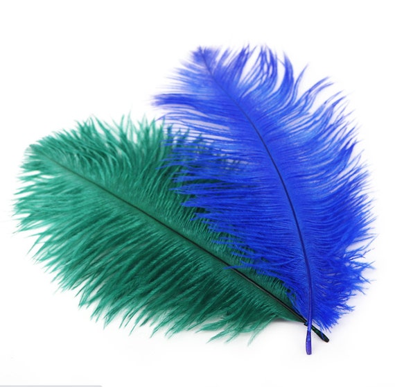 Ostrich Craft Feathers for Sale Online