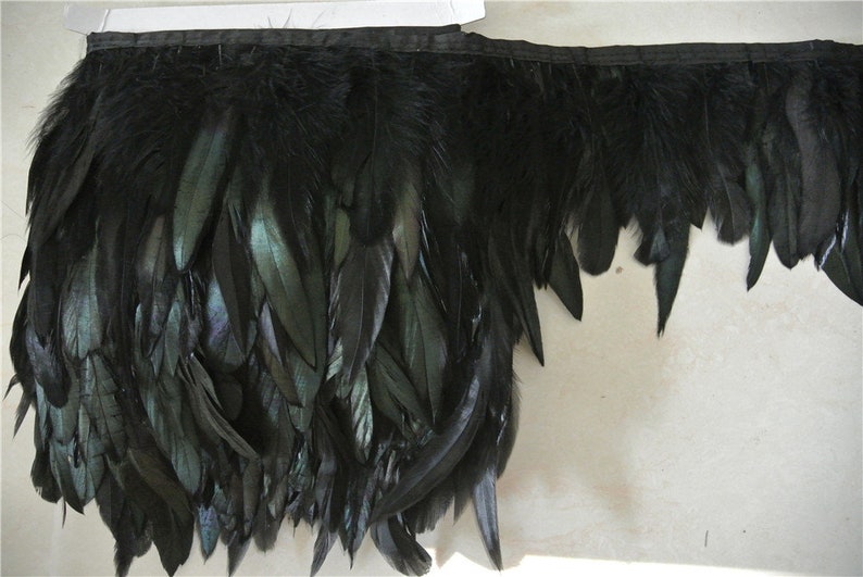 May include: Black feather trim with a black ribbon backing. The feathers are long and flowing, with a slight iridescent sheen.