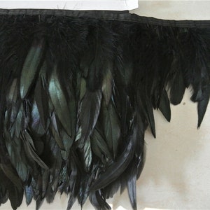 May include: Black feather trim with a satin backing. The feathers are long and flowing, with a slight iridescent sheen.