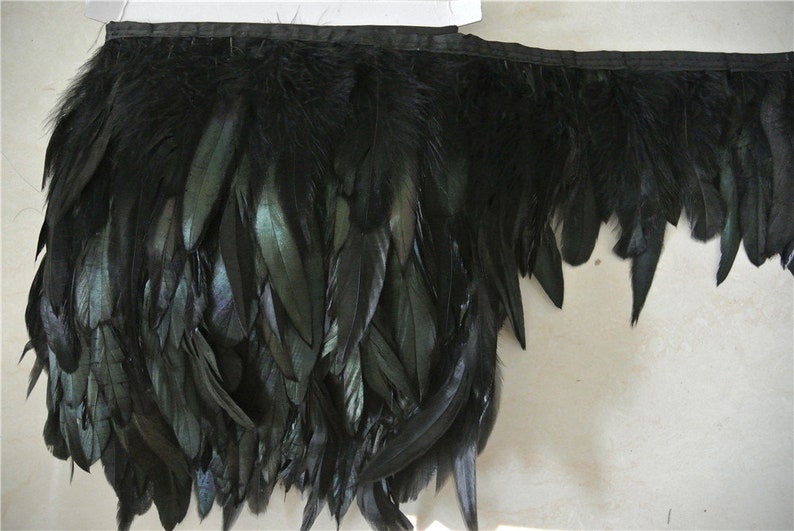 May include: Black feather trim with a satin backing. The feathers are long and flowing, with a slight iridescent sheen.