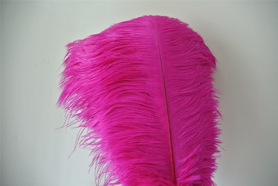 fuchsia ostrich feathers