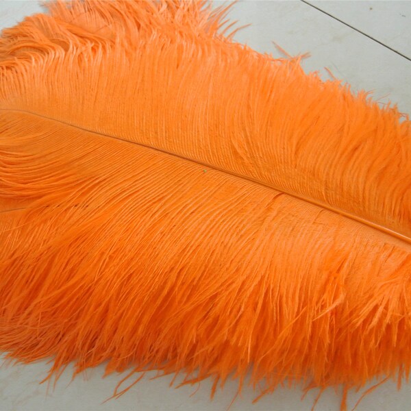 Ostrich Feathers Etsy