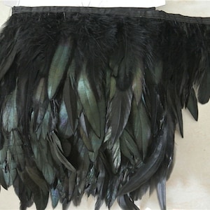 May include: Black feather trim with a black ribbon backing. The feathers are long and flowing, with a slight iridescent sheen.