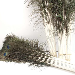 30 pcs peacock feathers plumes 10-35inches for wedding centerpiece supply craft prom supply
