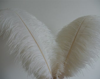 50 pcs white ostrich feathers plumes 5-24inches for wedding centerpiece supply craft supply