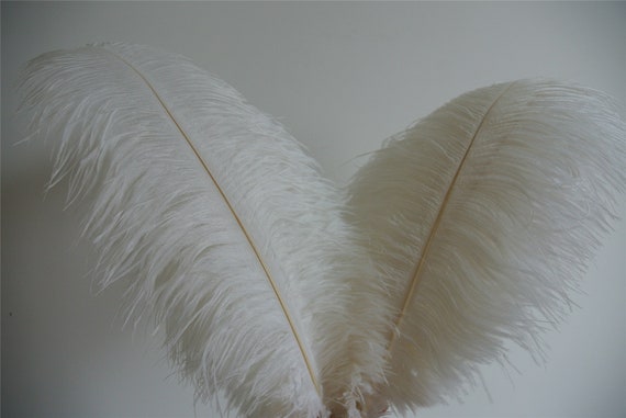 50 Pcs White Ostrich Feathers Plumes 5-24inches for Wedding