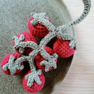 May include: A crocheted tomato vine with red tomatoes and green leaves. The tomatoes are arranged in a cluster on a gray plate.