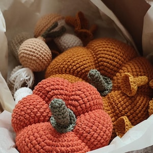 Op de afbeelding: Een set gehaakte pompoenen in verschillende herfstkleuren, waaronder oranje, bruin en groen. De pompoenen zijn gemaakt van een getextureerd garen en hebben een rustieke, handgemaakte uitstraling.