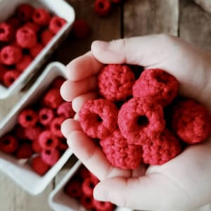Virkade hallon set om 5: Låtsaslekmat, Montessorileksak, Lekmatset, Frukter för låtsaskök, Miljövänlig present till småbarn