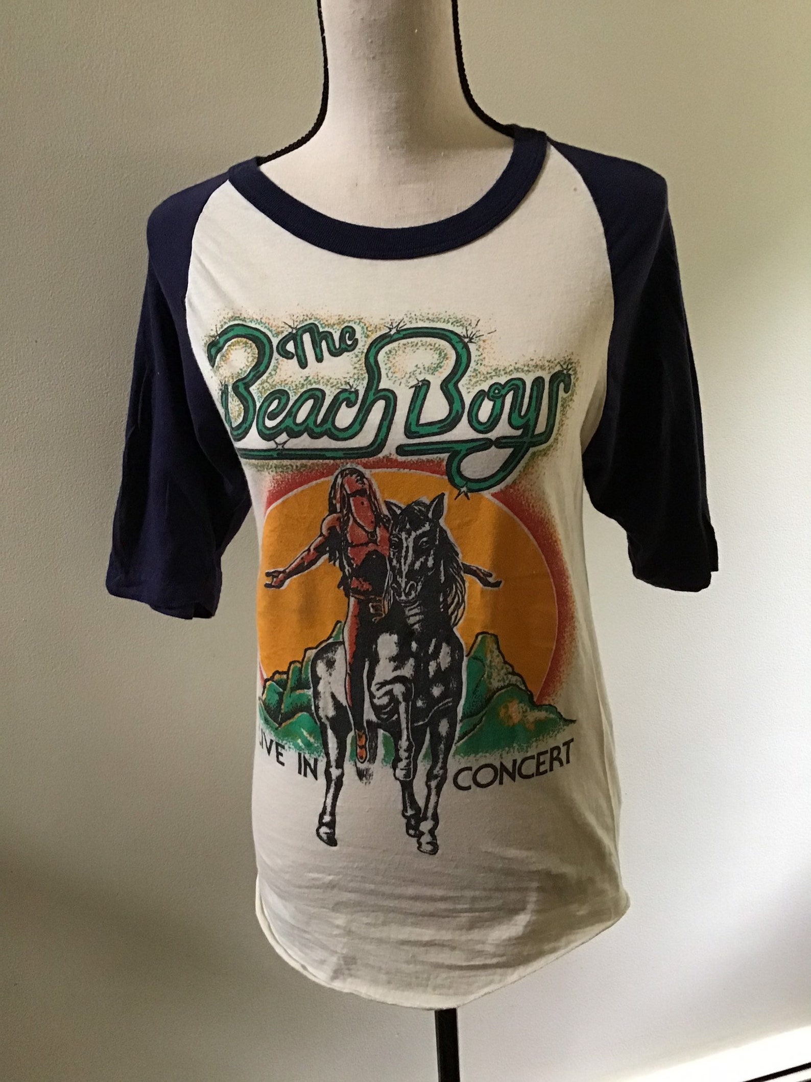 Camiseta Vintage Beach Boys 1979, gira de conciertos de verano sin fin ...