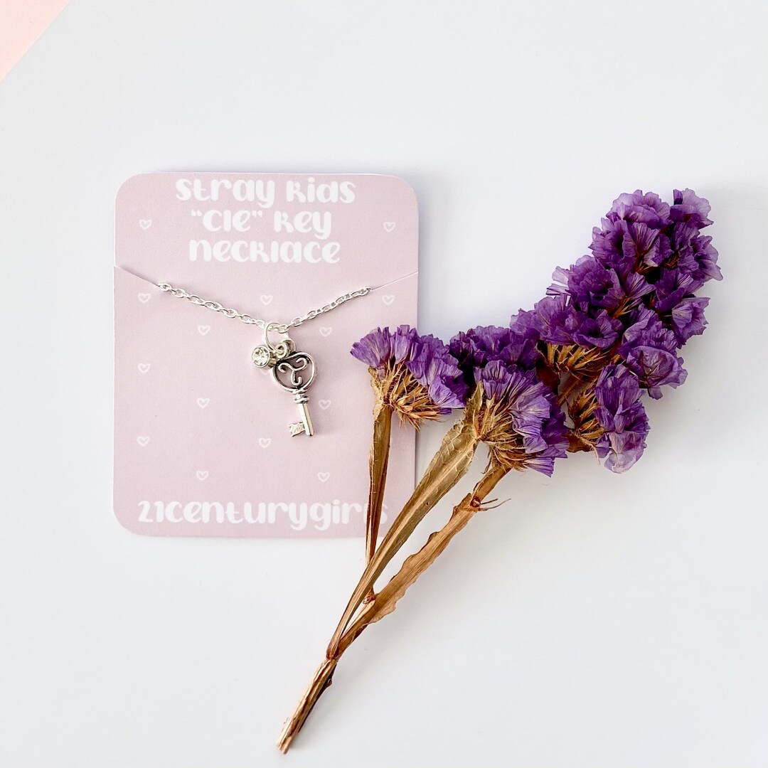 [HEYHORANG]★StrayKids 着用★ Twin Smile Necklace(925silver) Stray Kids SKZ Necklace | Skz Jewellery Stray Kids Merch