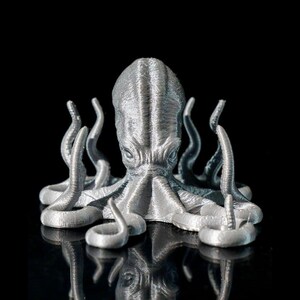 May include: A silver octopus sculpture with detailed textures. The sculpture has eight tentacles and a prominent head, set against a black background. The octopus is reflected in the glossy surface below.