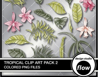 Éléments d’art de clip tropical dessinés à la main- Pack PNG couleur (DSF-TCA-2)
