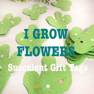 Green Succulent Plantable Seed Paper Birthday Gift Tags, Cactus Party Favours, Boho Growing Recycled Handmade Cacti Stocking Filler,