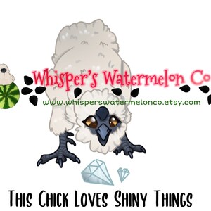 Whisper&#39;s Watermelon Co CEO Clip-art