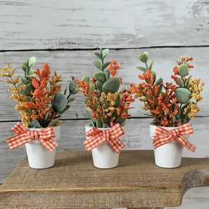 May include: Four small white pots with orange and yellow flowers and red and white gingham ribbon bows are arranged on a rustic wooden shelf.