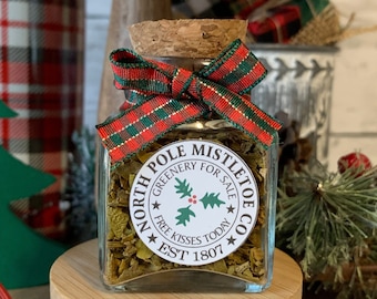 Christmas tiered tray decor, Jar of Mistletoe, Dried mistletoe, christmas tray accessory, mini Christmas decor, Christmas home decor, Santa