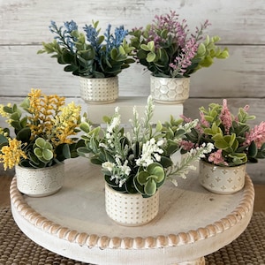 May include: Five small potted plants with different colored flowers. The pots are white with a textured design. The plants are arranged on a white tiered stand.