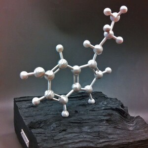 Serotonin serendipity