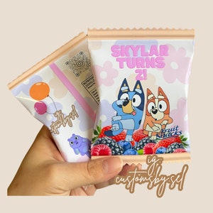 Bluey Custom Fruit Snack Favors, Custom Party Favors