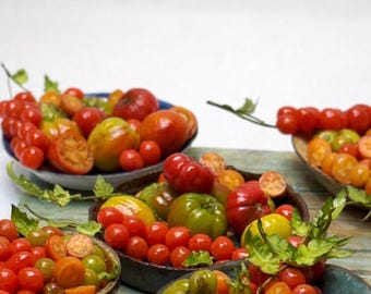 1x Mini Pomodoro 1:12