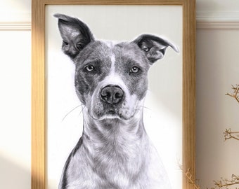 Pet Portrait Custom Dog Portrait from Photo Pet Loss Dog Memorial Pet Painting Dog Lover Gift Charcoal Colorful Portrait