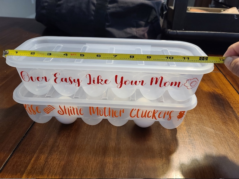 2Plastic Reusable egg containers Funny Egg Carton Egg Etsy