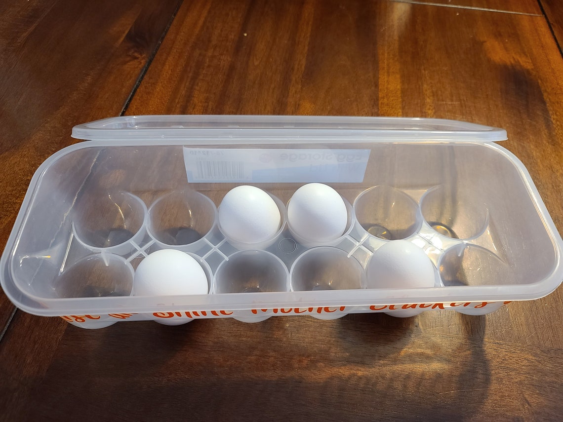 2plastic Reusable Egg Containers Funny Egg Carton Egg Etsy