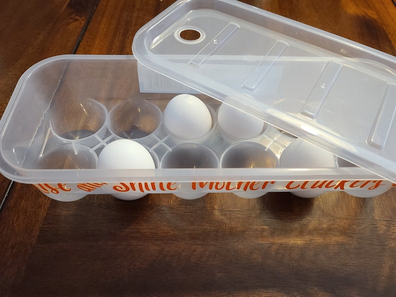 2Plastic Reusable egg containers Funny Egg Carton Egg Etsy