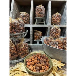 Putka Pods Unscented Mini Pumpkins