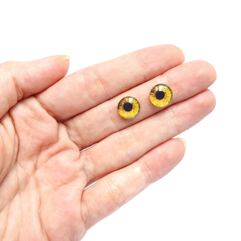 Glass Animal Eyes Cabochons Eyes Owl Dog Eyes 10 Mm 1 Pair Etsy